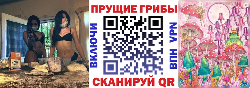 Купить закладки Карачев Псилоцибиновые грибы GOLDEN TEACHER